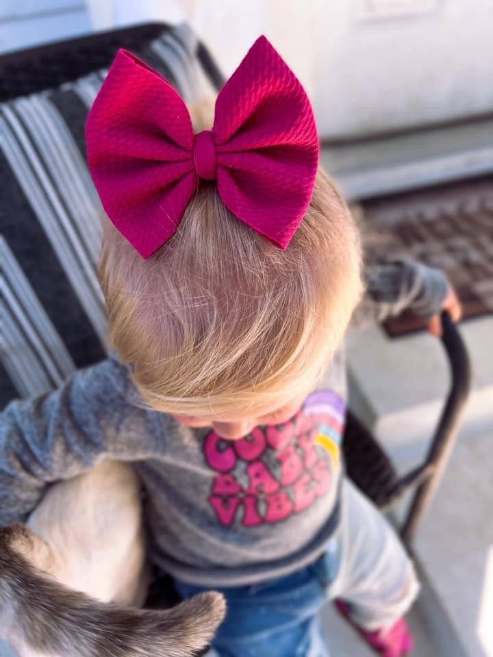 Raspberry Sorbet Clip/Nylon