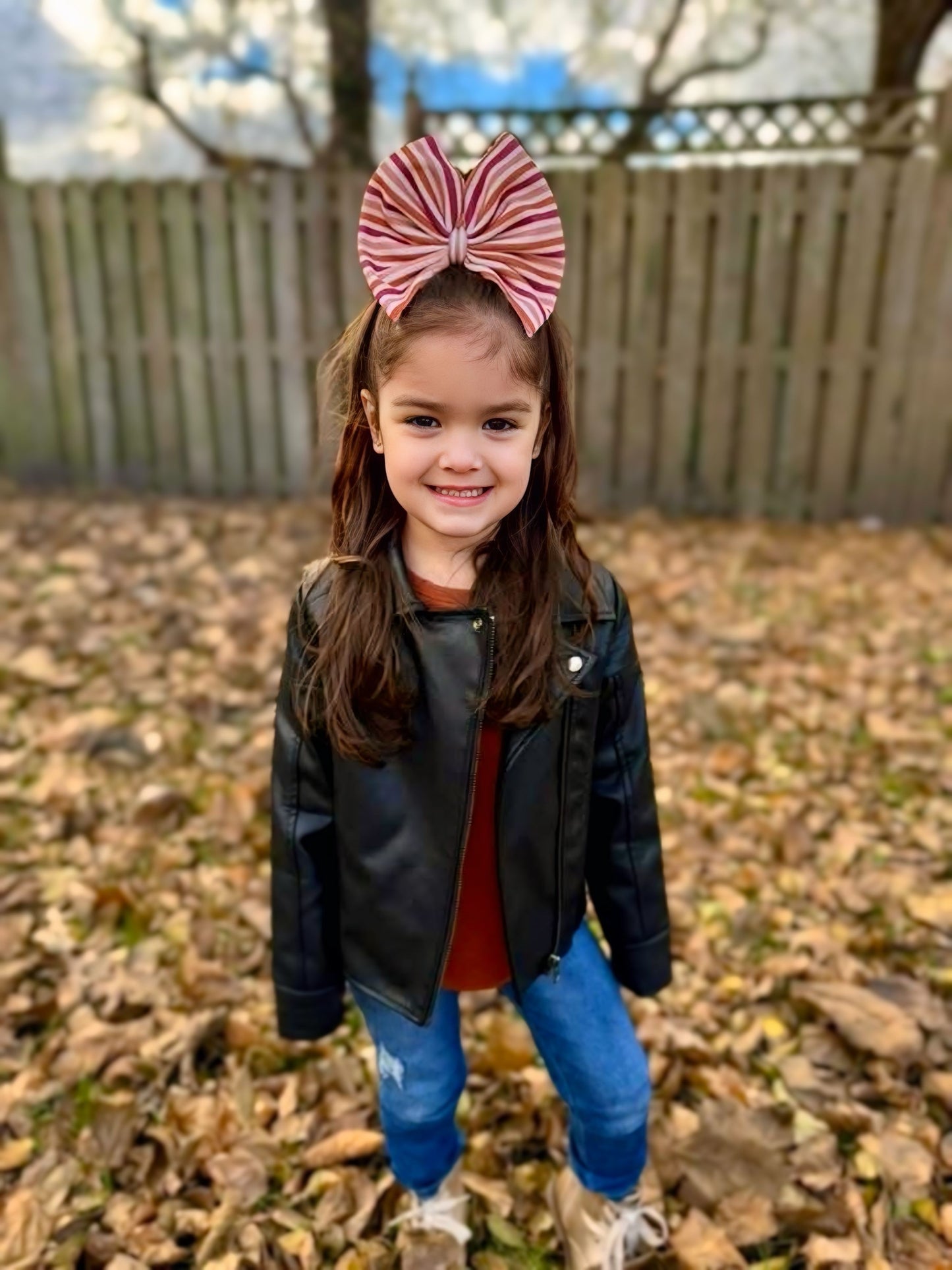 Cranberry Stripe Clip/Nylon