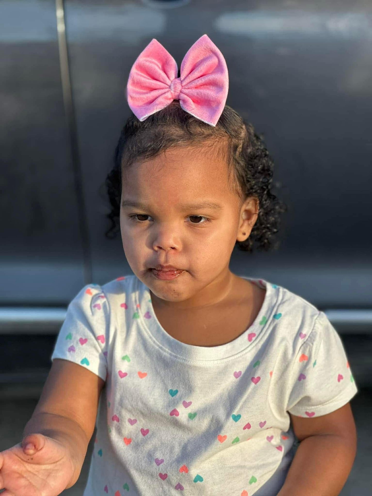 Flamingo Pink Velvet Bows