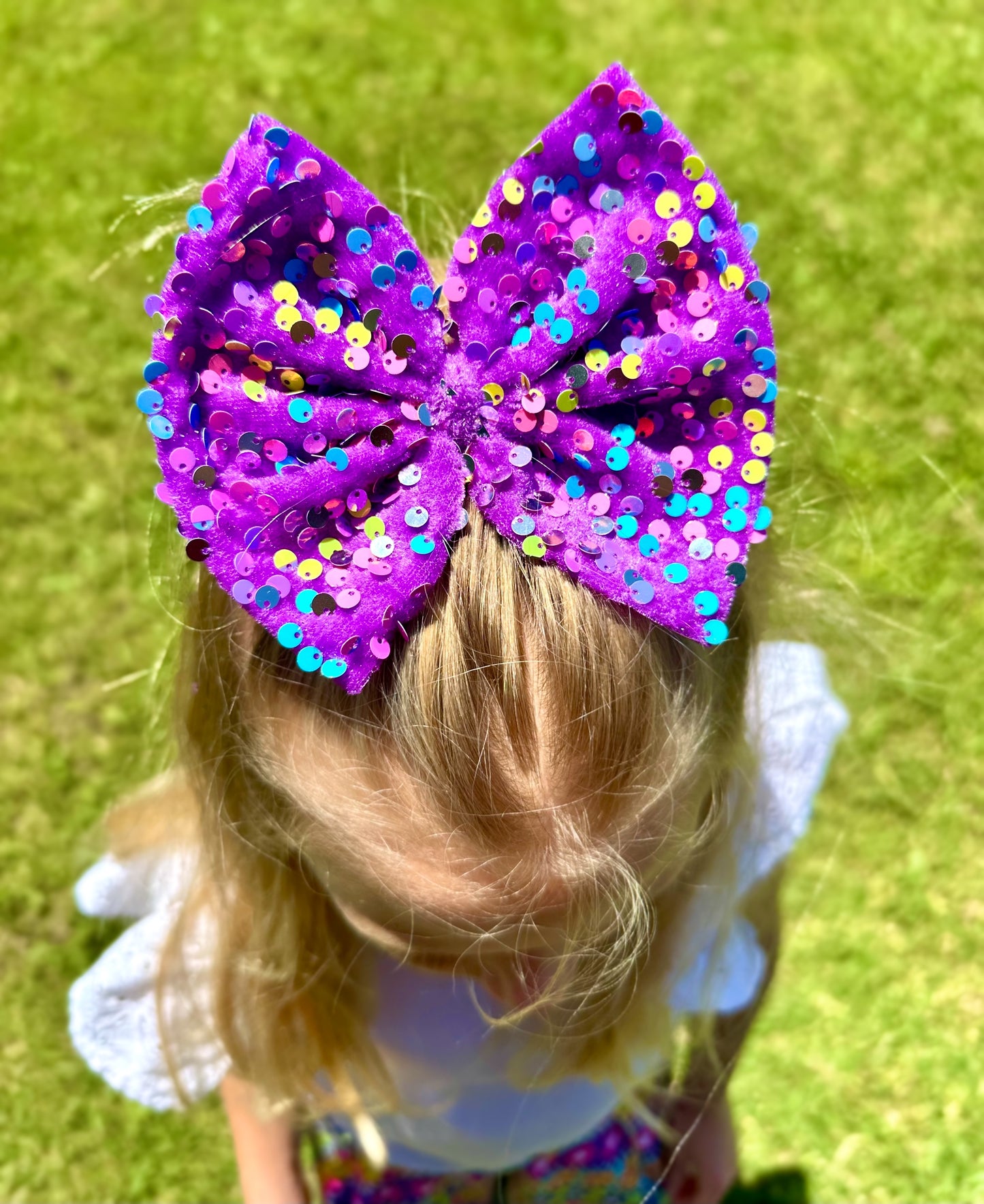Purple Confetti Glam Clip/Nylon