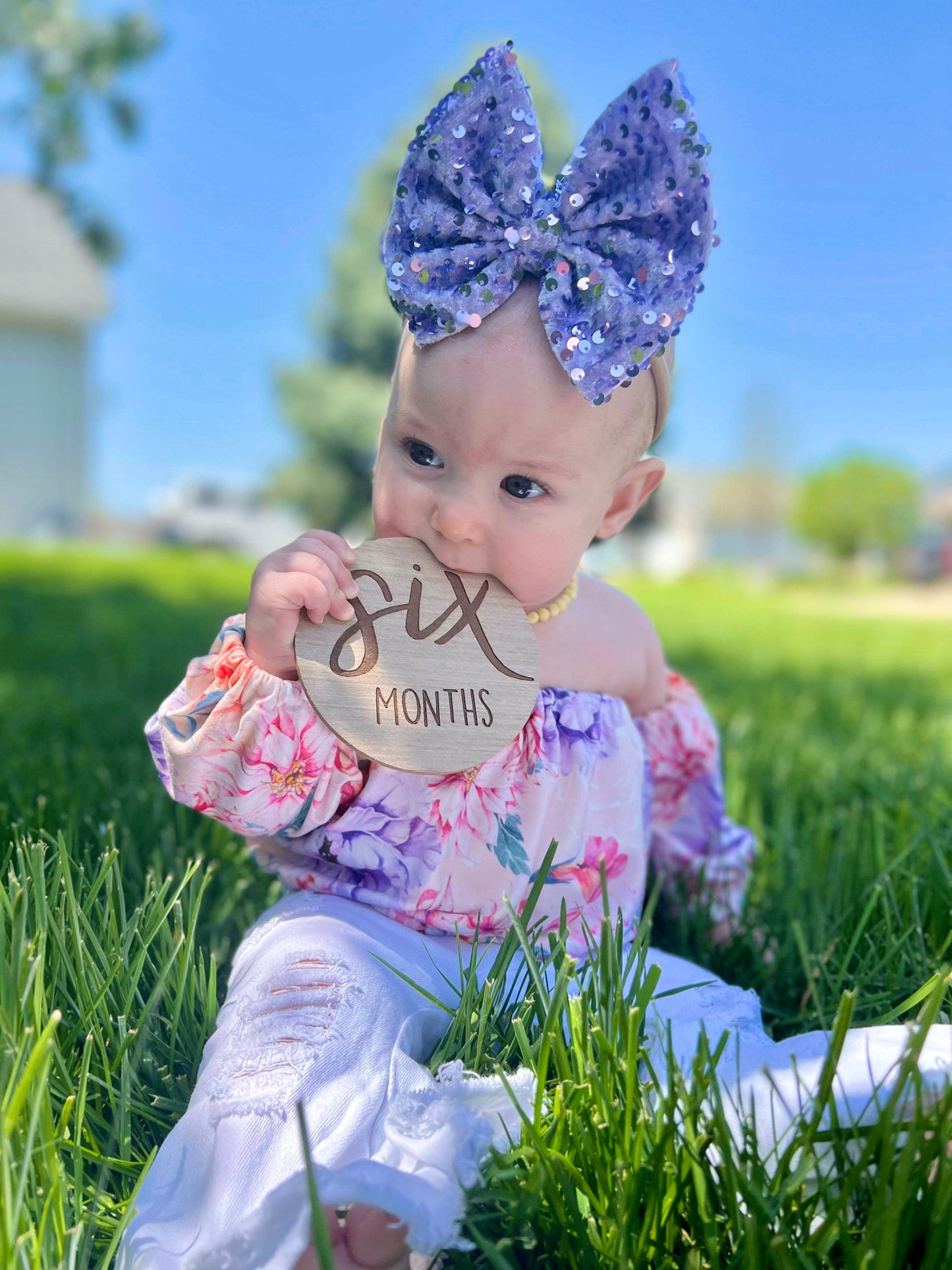 Lilac Glam Clip/Nylon